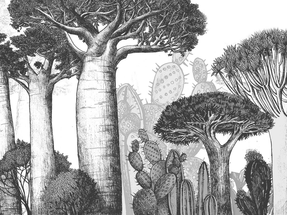 Дизайнерские обои Wall Street Zoo