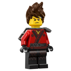 LEGO Ninjago Movie: Битва Гармадона и Мастера Ву 70608 — Master Falls — Лего Ниндзяго Муви Фильм