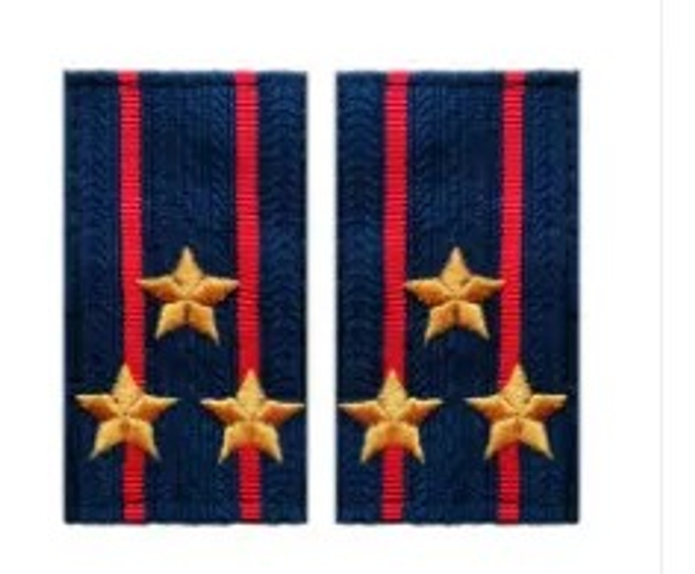 Фальшпогоны вышитые н/о полиция полковник 5*9 см