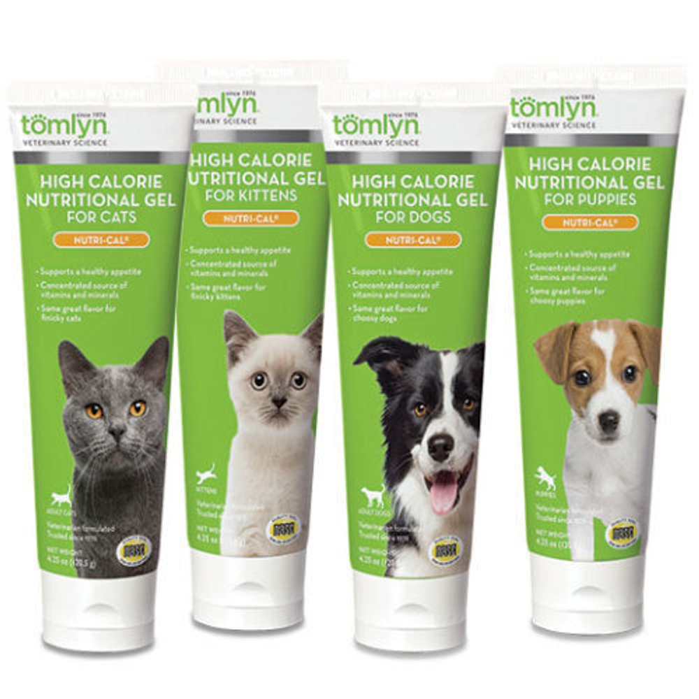 Calorie gel for cats shop