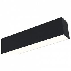 Накладной светильник Maytoni BASIS TR012-2-20W4K-B