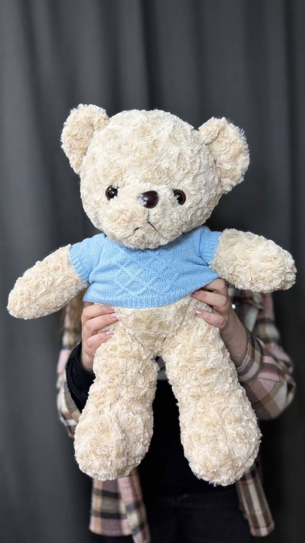 Медведь в синей кофточке