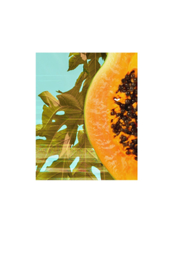 Garnier Fructis Papaya Hair Food - восстанавливающая маска для поврежденных волос /   390  ml  / GTIN 3600542137492
