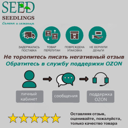 Золотая серия от Алтая: томат+перец. Семена Алтая