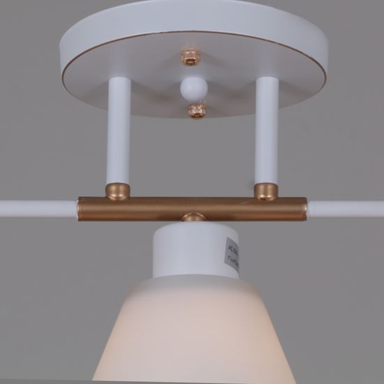 07594-0.3-03 WG светильник потолочный