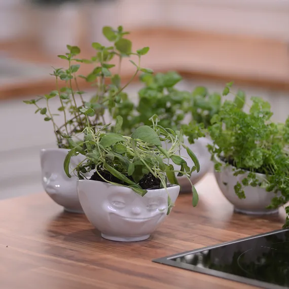 Чаша Tassen Grinning 500 мл