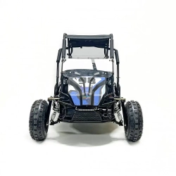Багги Green Camel Намиб T10 (60V 2000W R8 Дифф)