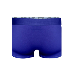 Мужские трусы боксеры синие DARKZONE DZN2805