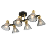 Потолочная люстра Lumion ANRIYA 8044/6C