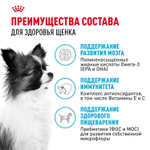 Royal Canin X-Small Puppy Корм сухой для щенков очень мелких размеров 0,5 кг