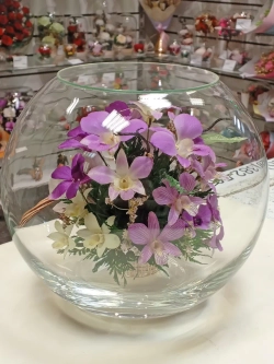 натуральные орхидеи в стекле, вакуум