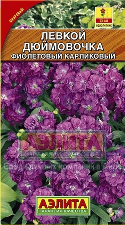 Левкой Дюймовочка фиолетовый карликовый ароматный 0,1гр Аэлита