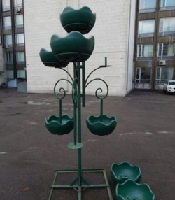 Цветочница Улитка двойная парковая