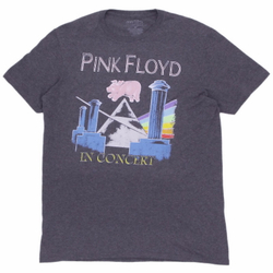 Футболки Pink Floyd In concert серая (717)