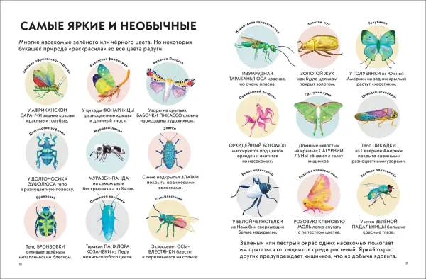 Детская энциклопедия насекомых