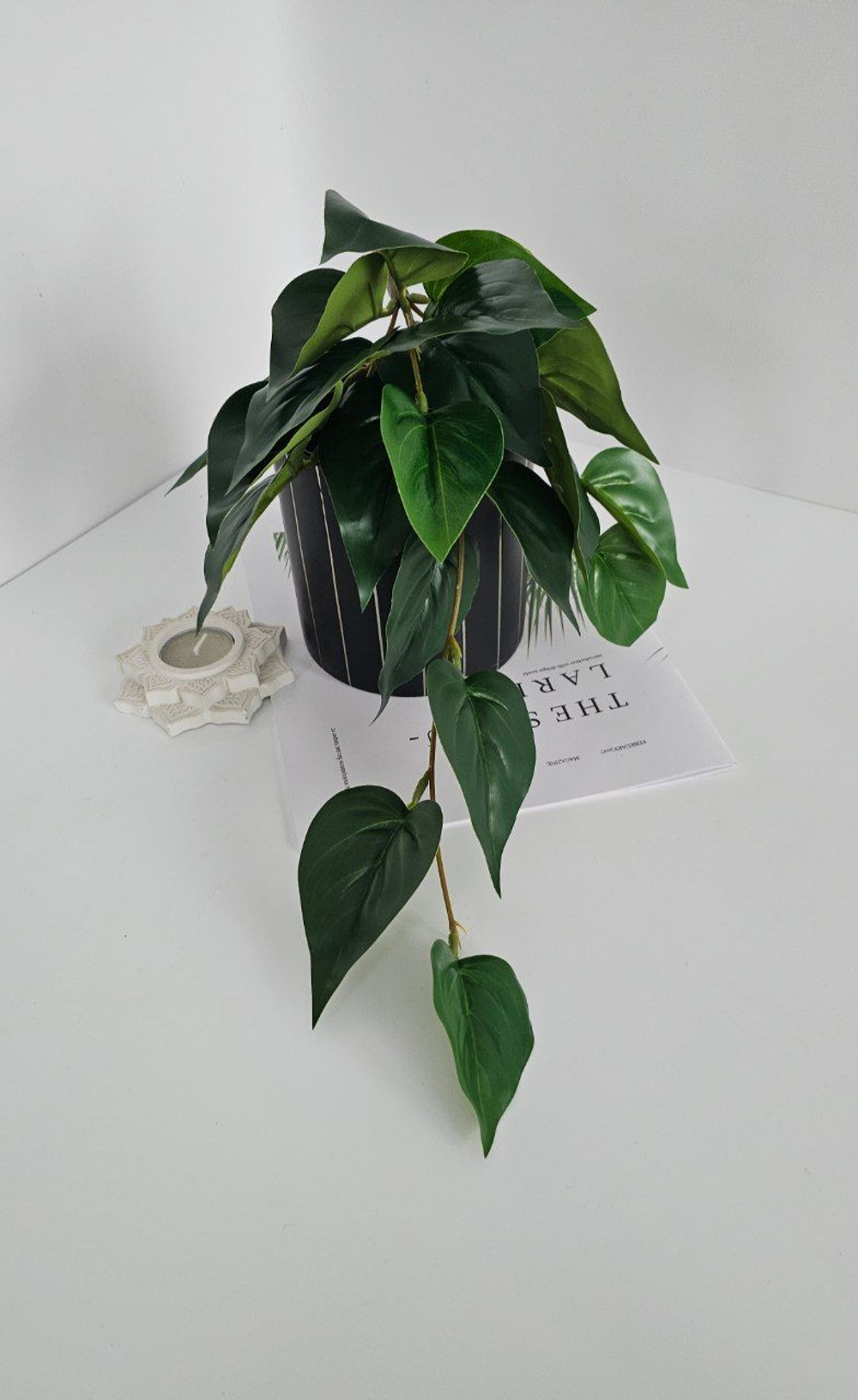 Куст фикуса ампельный / Арт 6375