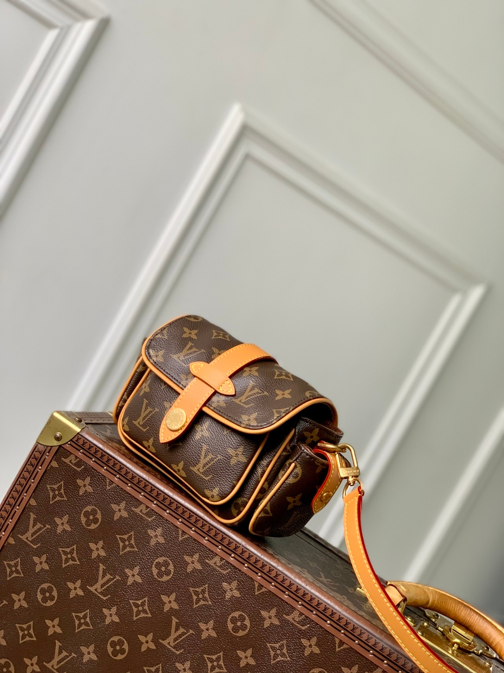 Louis Vuitton Cargo Wearable Wallet