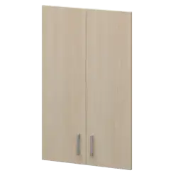 Двери для широких стеллажей А-610.Ф Бук 710x18x1120 Арго