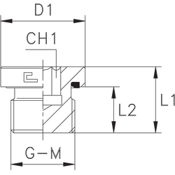 Заглушка VE (Ш) 10x1