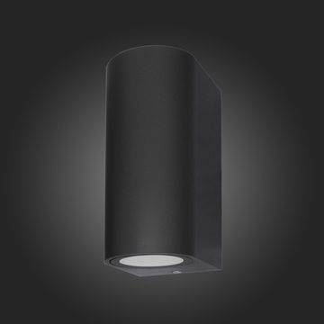 SL9001.401.02 Светильник уличный настенный ST-Luce Черный/ GU10 2*35W BORGO