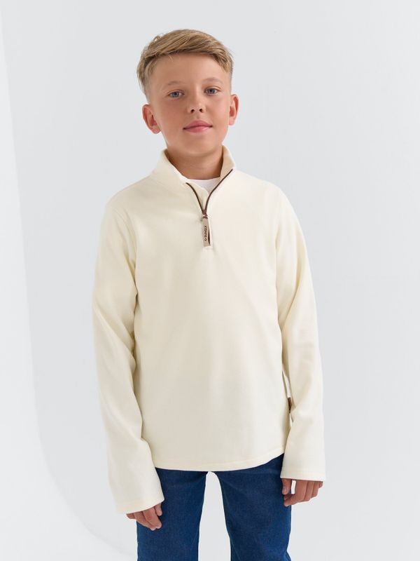 Олимпийка флисовая 