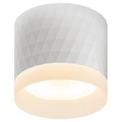 Светильник настенно-потолочный спот ЭРА OL37 WH под GX53 IP20 белый