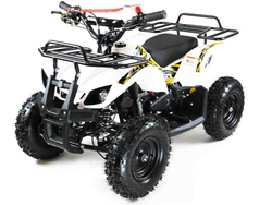 Квадроцикл MOTAX ATV Mini Grizlik X-16