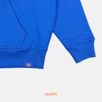  Толстовка мужская Dickies Enterprise Hoodie артикул:DK0A4Z2NJ531 - купить в магазине Дайс
