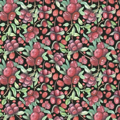 Красные ягоды и веточки клюквы на черном фоне