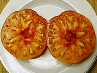 Помидоры Hazel Mae - Кареглазые