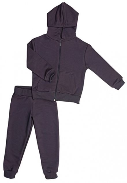 Спортивный костюм (0210/7) серый, 3х/н, без начеса