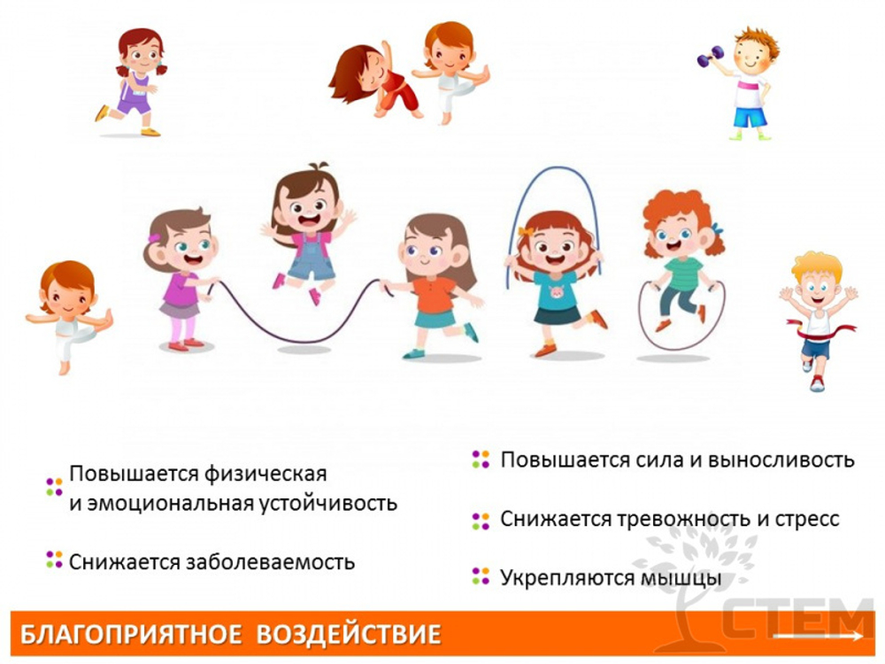 Спортивный инвентарь. Тактильные камни