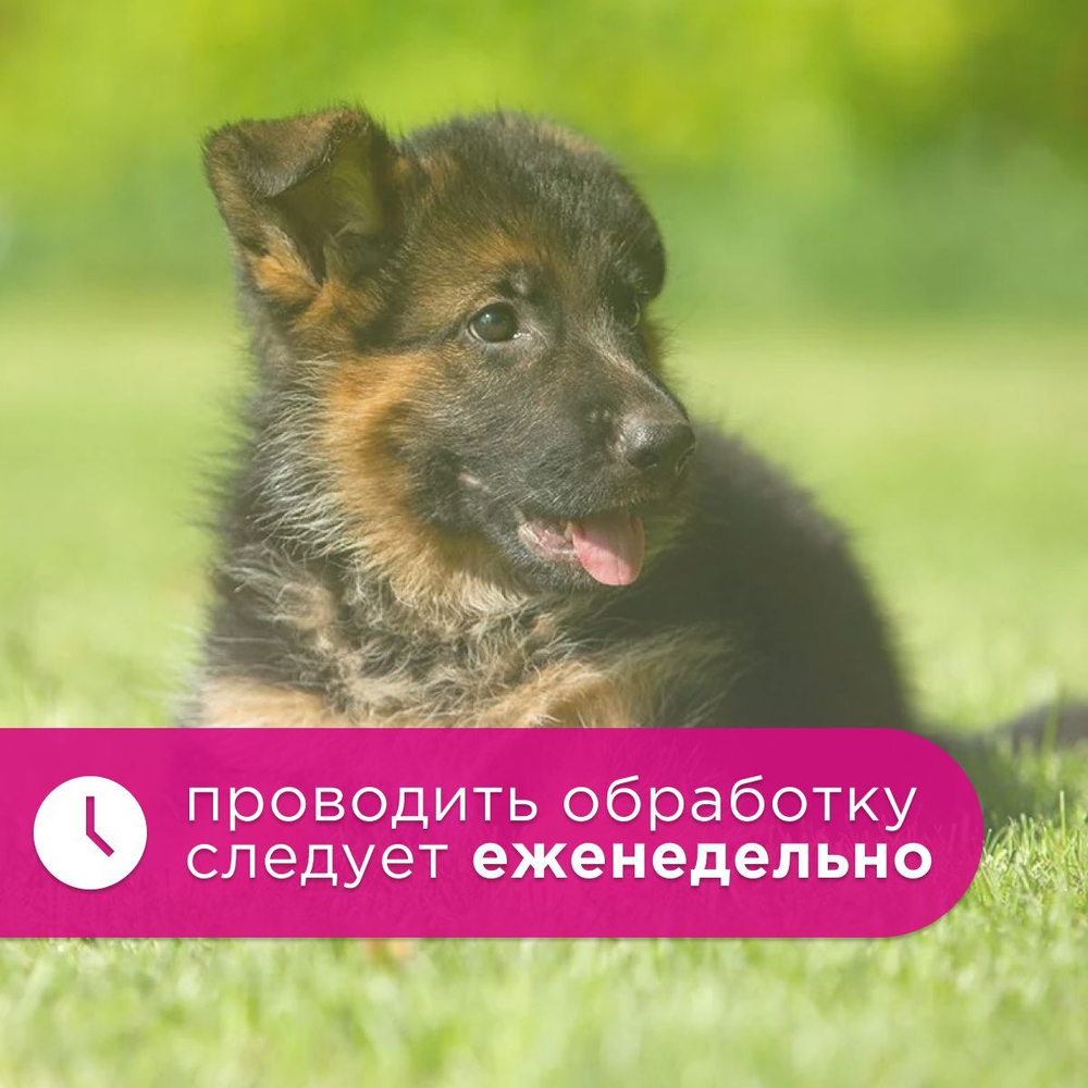 Спрей Brizberry ( Бризберри ) от Apicenna, Защита от погрызов для собак, 250 мл