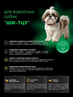 Корм сухой для взрослых собак породы Ши-тцу, с ягненком, 3 кг, QUATTRO