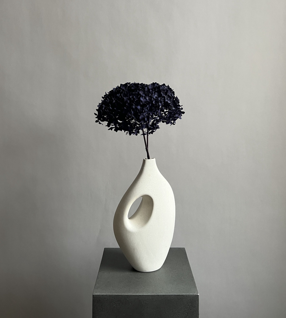 Гортензия стабилизированная фиолетовая