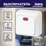 Выключатель Intro Quadro 2-102-01 одноклавишный с подсветкой 10А-250В IP20 ОУ белый