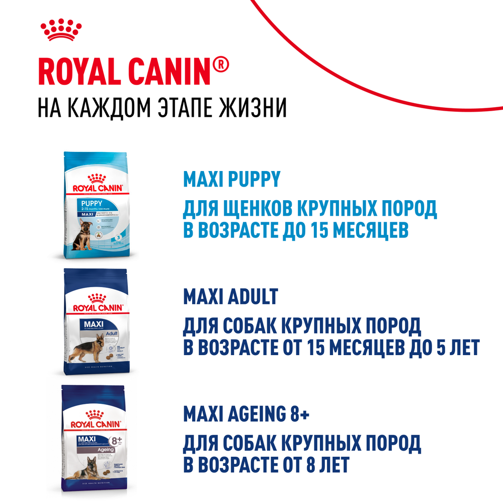Royal Canin Maxi Starter Макси Стартер мазэ энд бэбидог Корм для щенков крупных пород до 2-х месяцев беременных и кормящих собак 15кг
