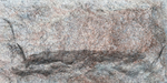 Crossard Stone Mushroom
