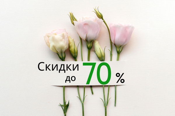 Распродажа в разделе SALE