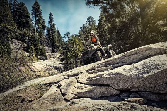 Квадроцикл KAWASAKI Brute Force KVF 750 4X4I EPS Camo (2023) (ПСМ)