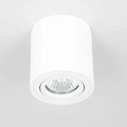 Citilux Дюрен CL538111 Светильник накладной поворотный Белый