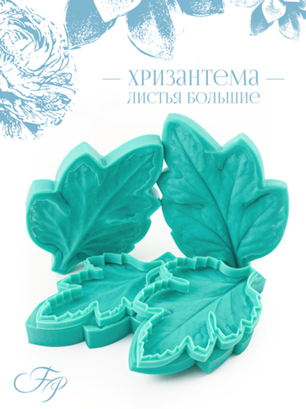 Хризантема листья большие