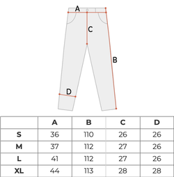 Брюки мужские Dickies Chase City Pant