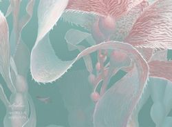 Бесшовная фреска Престо 0012-A, 2,7 м (Ширина 4 м)