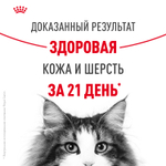 Royal Canin Hair&Skin Care Хэйр Энд Скин Кэа Корм сухой для взрослых кошек поддержание здоровья кожи и шерсти 400г