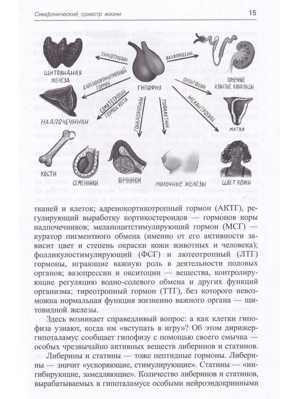 Молекулярная симфония, или Волшебный оркестр жизни