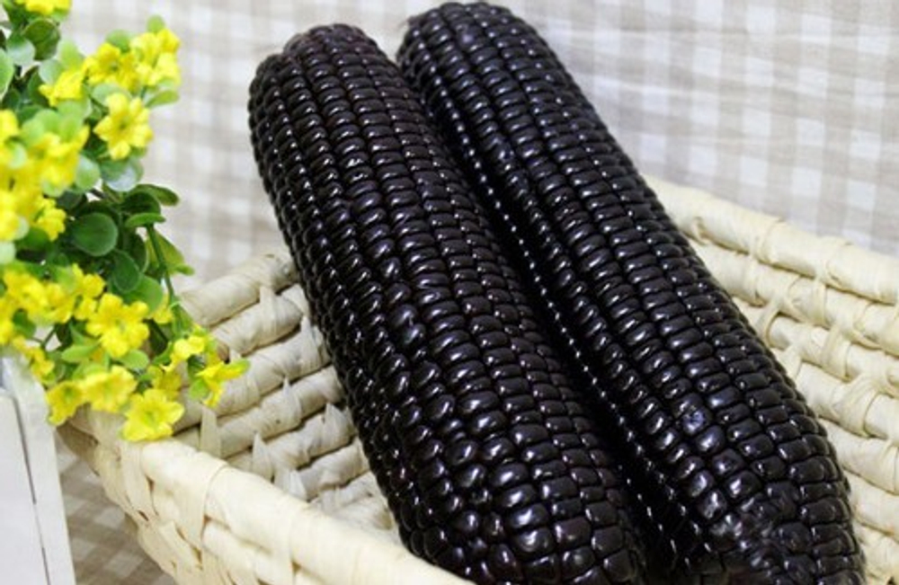 Чёрная Кукуруза Ацтеков, Black Aztec Corn