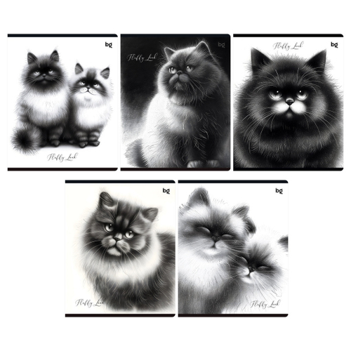 Тетрадь 48 л. клетка БИДЖИ Пушистые коты (Т5ск48 63531)