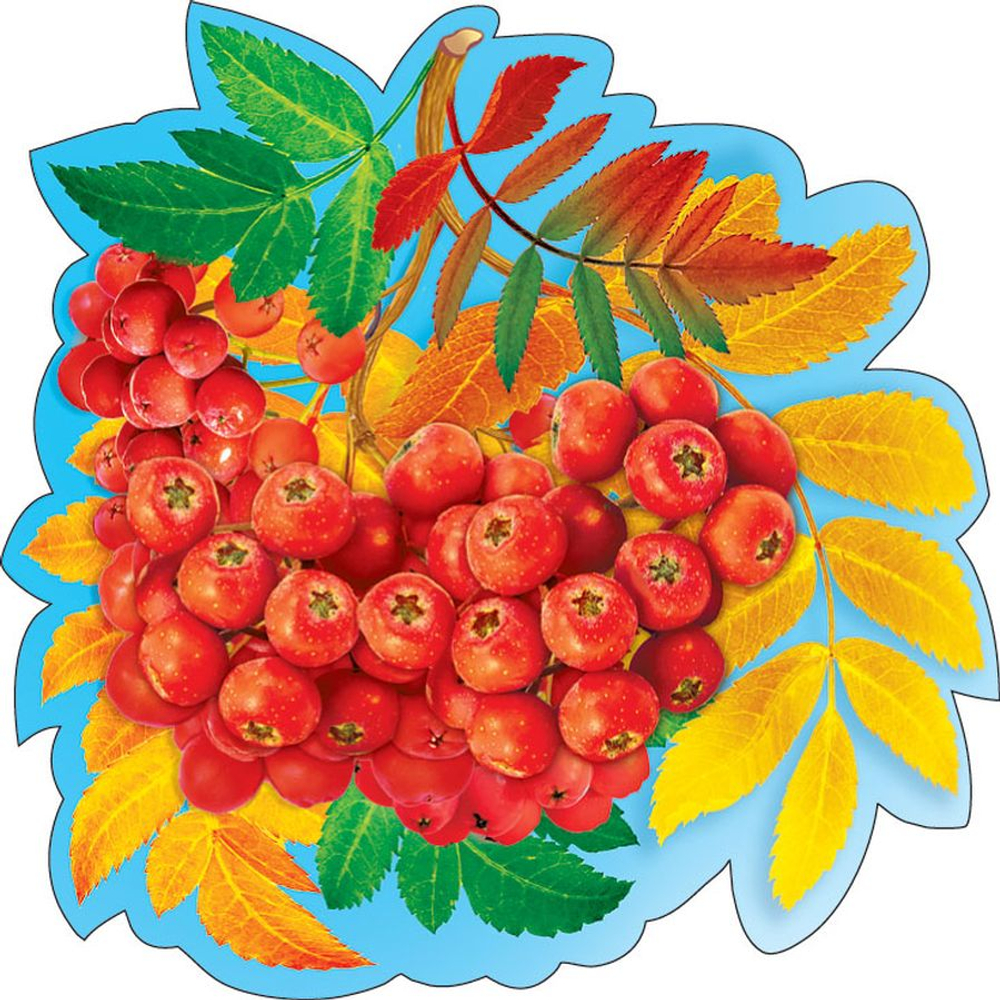 Украшение на скотче "Рябина", 46070 11315F