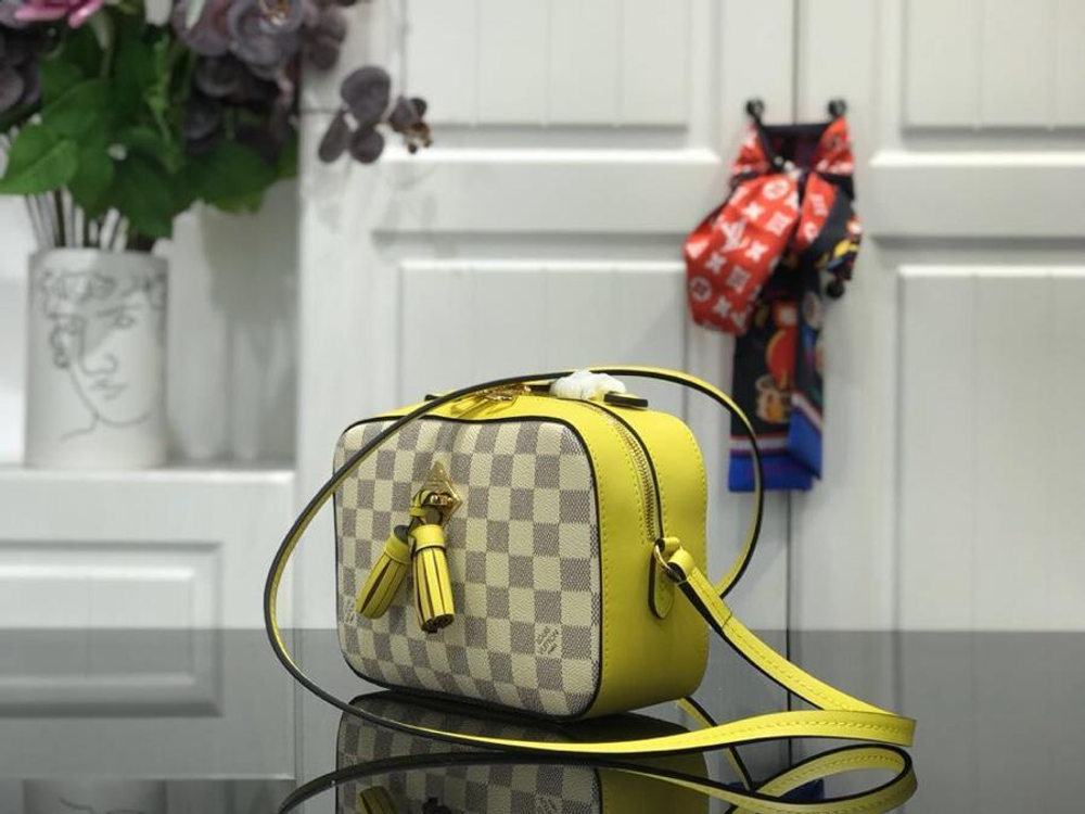 Louis Vuitton Saintonge
